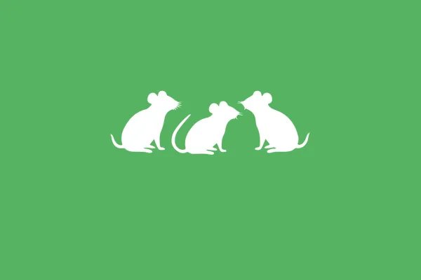 3 mice